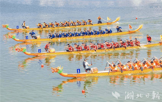 黄石阳新:千名选手莲花湖竞渡迎端午