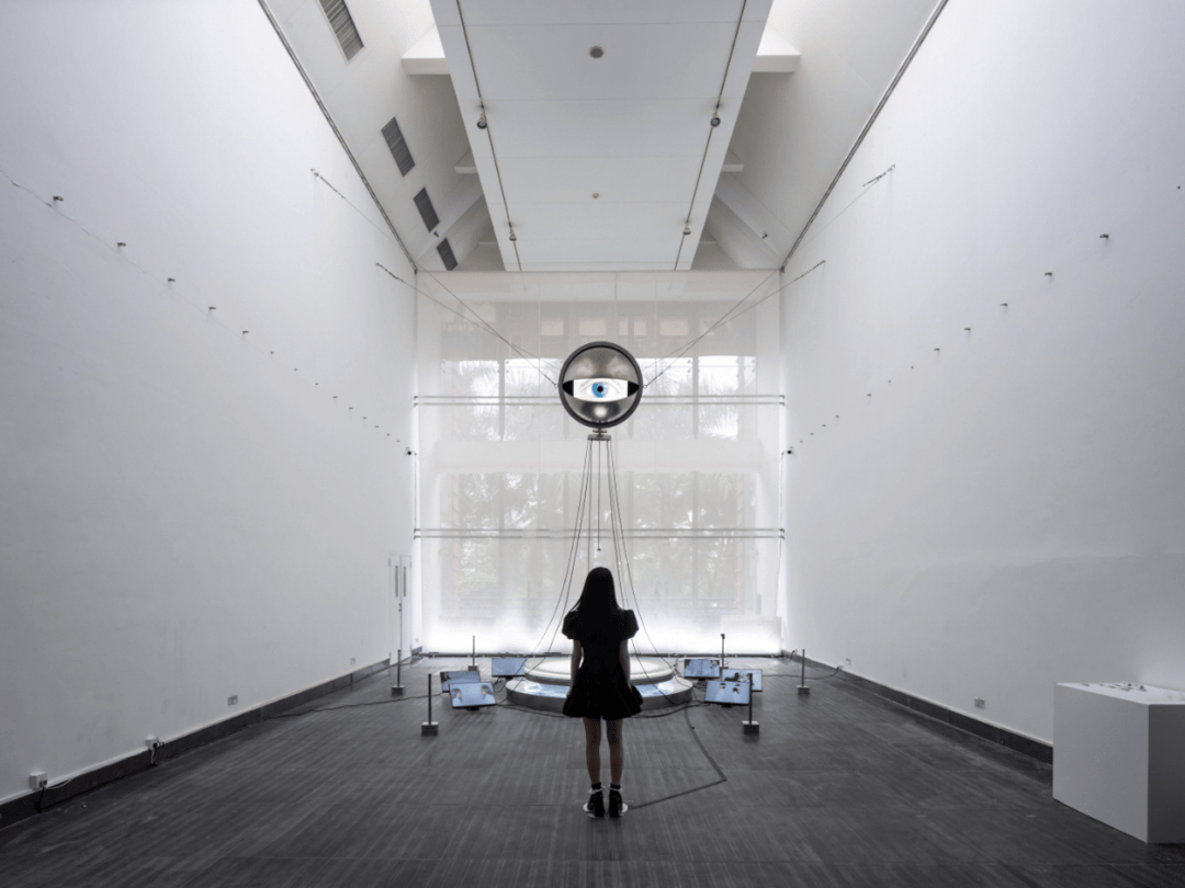 毕业季 | 「独树一帜」视觉艺术设计学院2024届本科