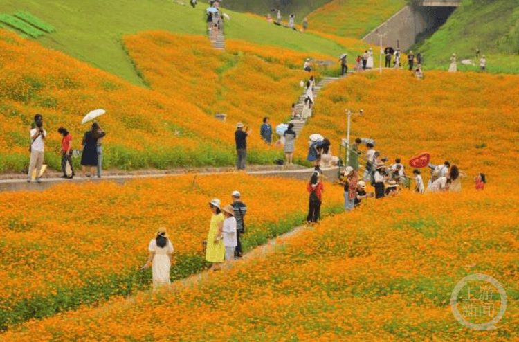 🌸【新澳2024年精准一肖一码】🌸_杭州市拱墅区城市建设发展控股集团有限公司发行规模不超过4.40亿元公司债券，票面利率为2.24%