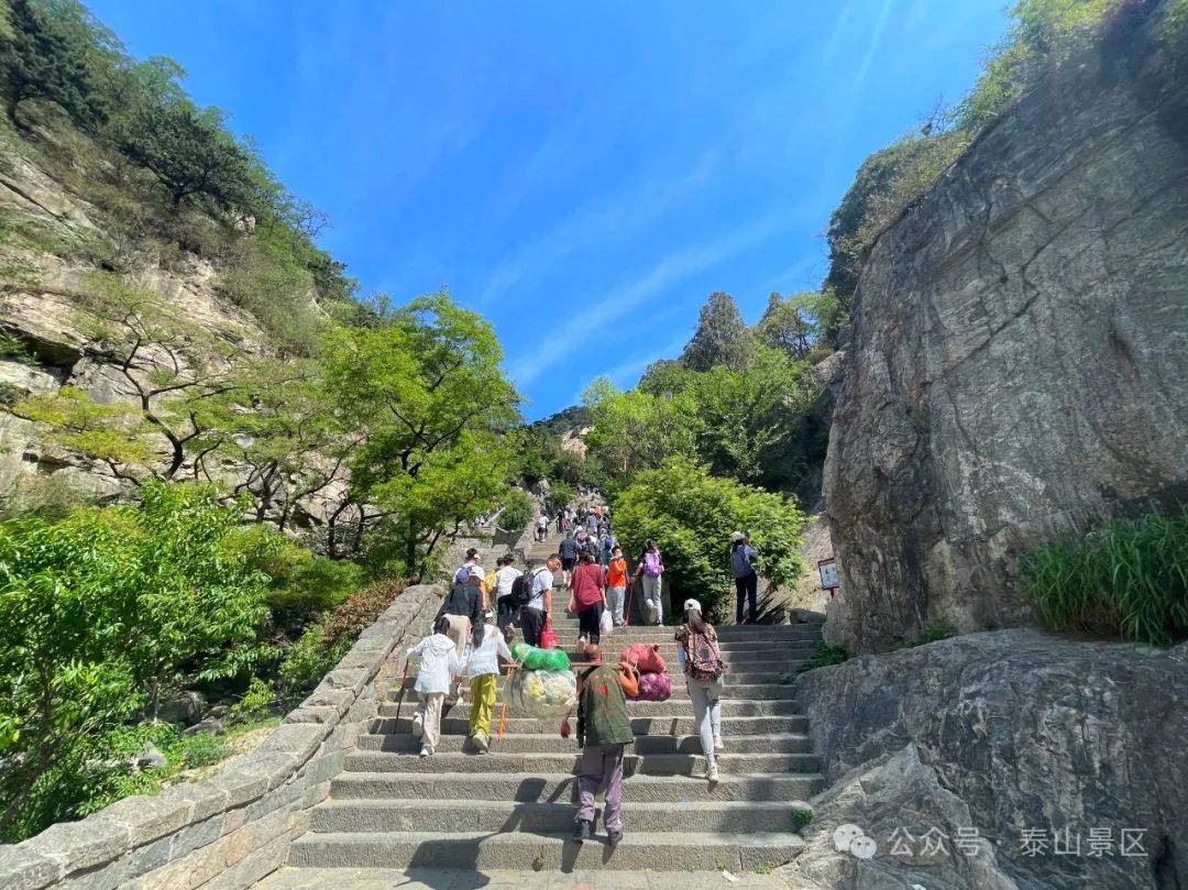 夏意渐浓 满山青绿|走进泰山 尽享秀丽好风光