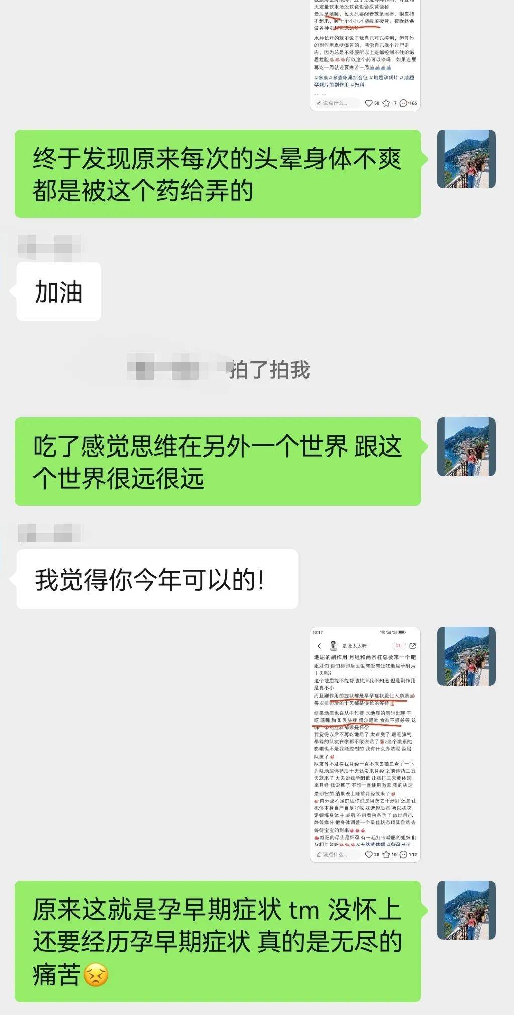 2021年清宫图 图表图片