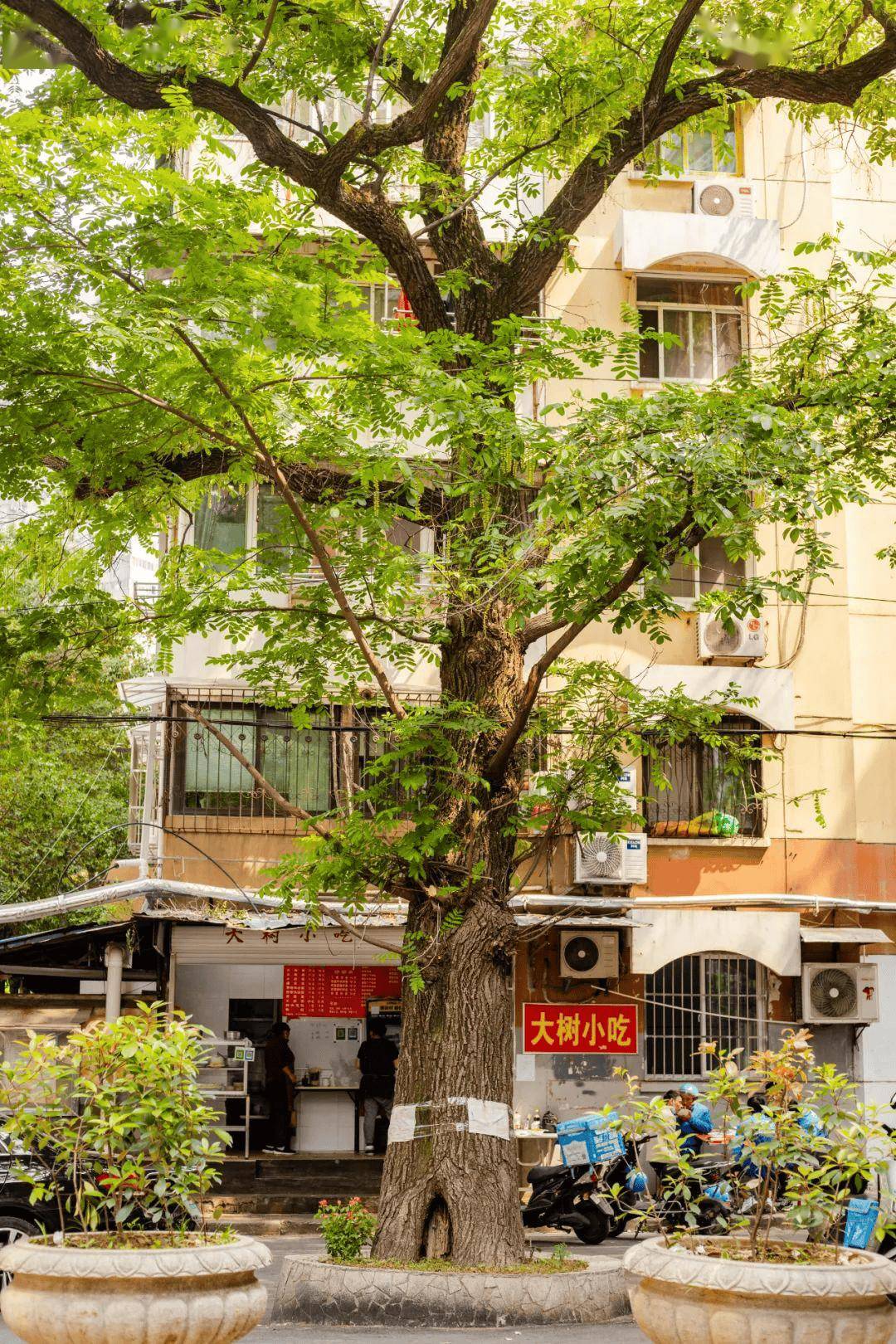 肥肠_瞬间_秦淮区