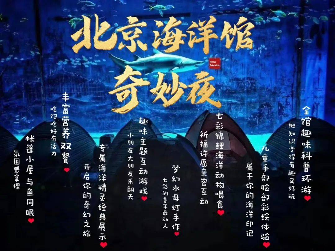 夜宿北京海洋馆,开启蓝色梦幻之旅!
