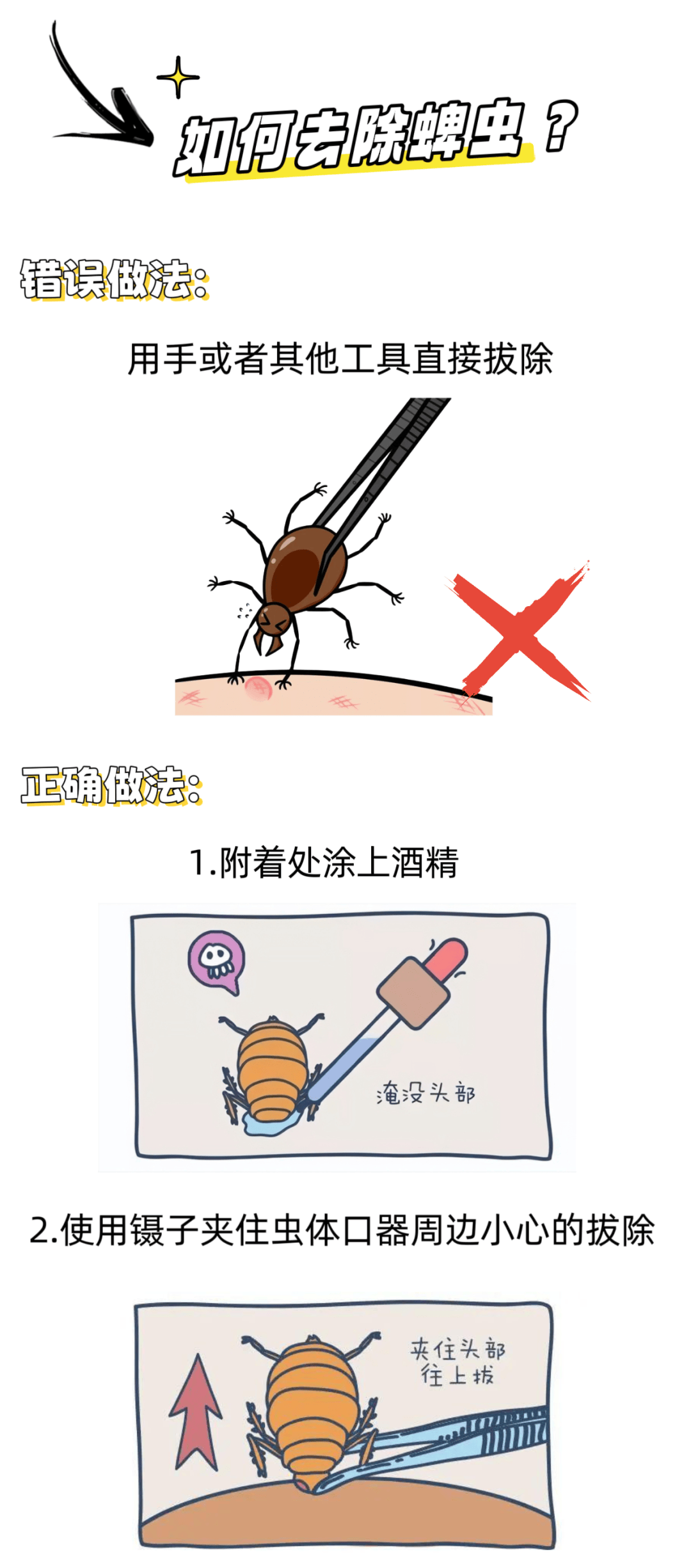 狗狗身上有蜱虫怎么办?