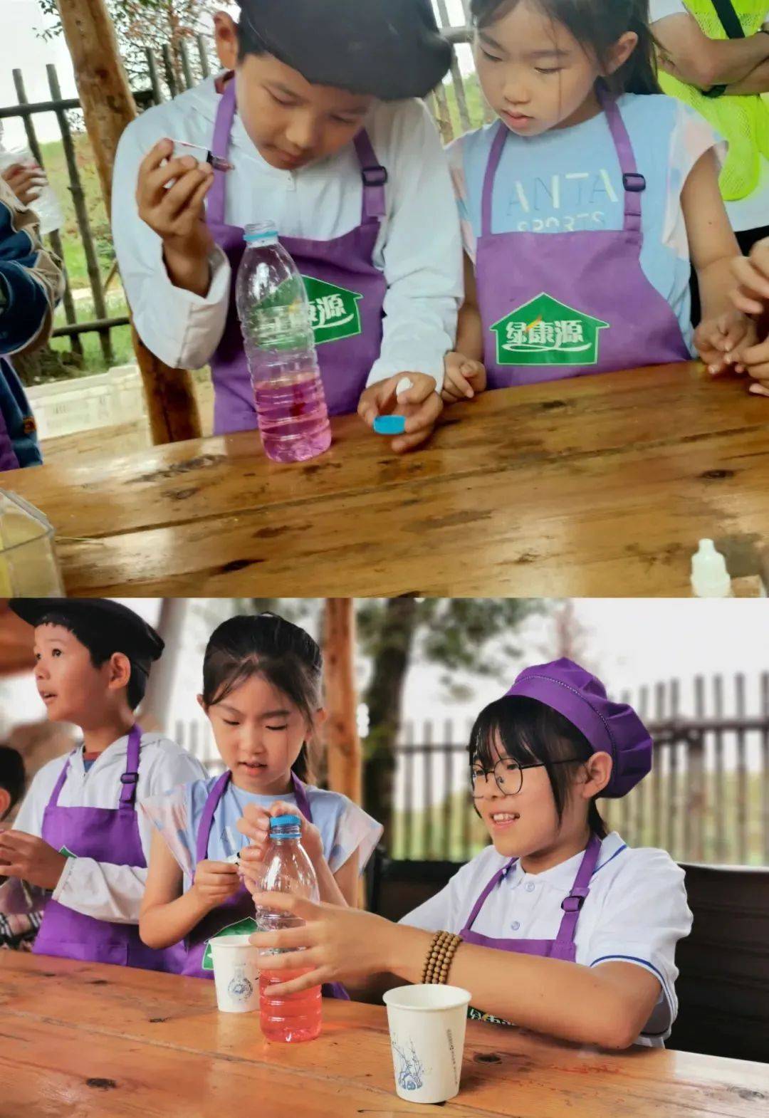 研学活动招募|2024年"爱自然·慧生活"主题夏令营 小暑营队