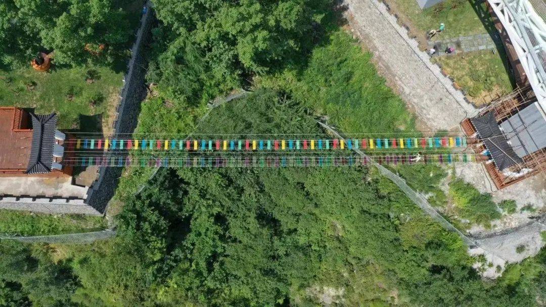 独乐乐,不如"粽"乐乐!