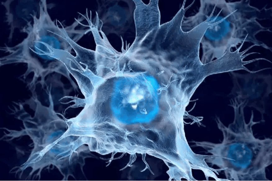 招募小记者|免疫力守护计划邀你探秘神奇的细胞"警察"