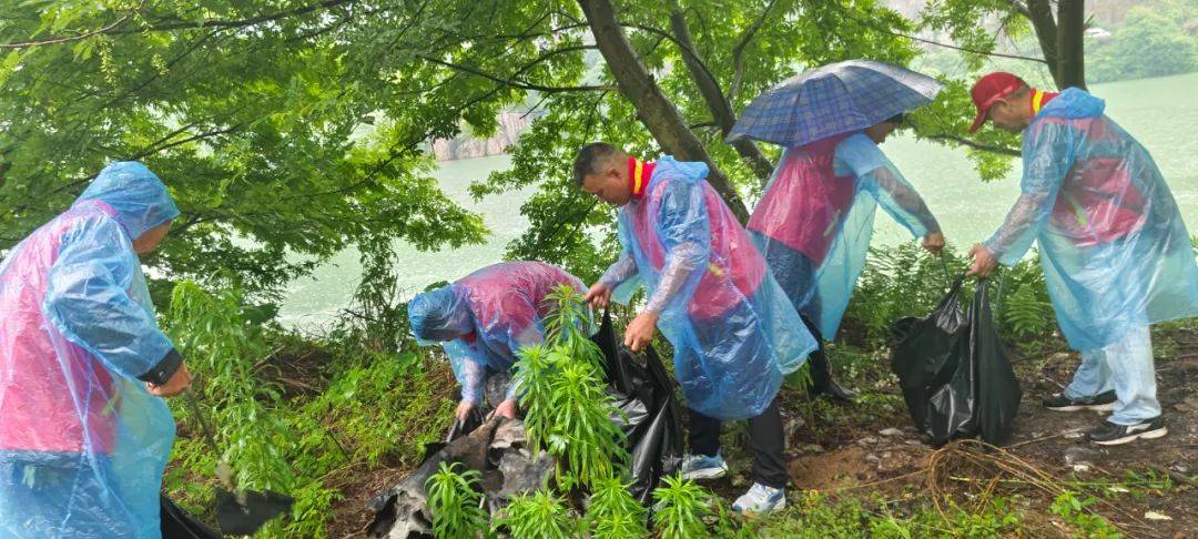 世界环境日,永嘉志愿者雨中赴水源地净滩,走进企业宣讲"减污降碳"