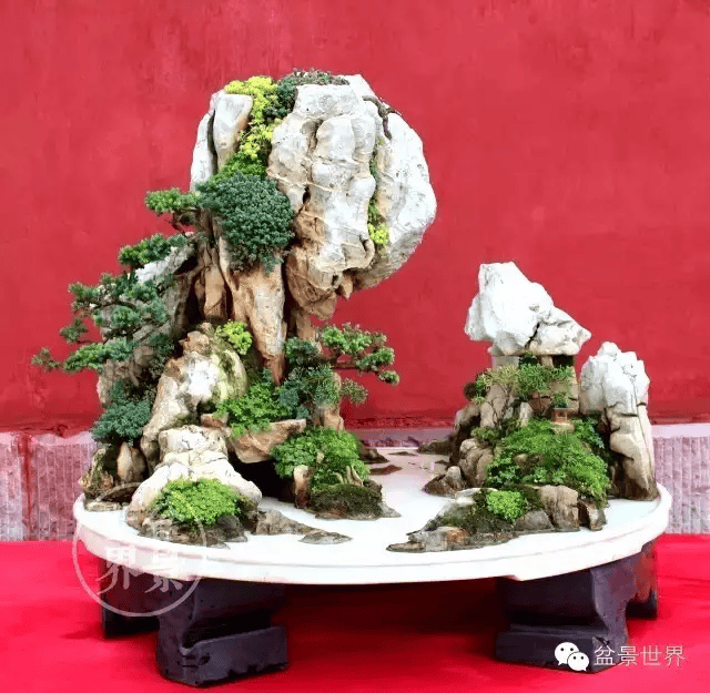 中国山水,大气!_cm_作品_盆景