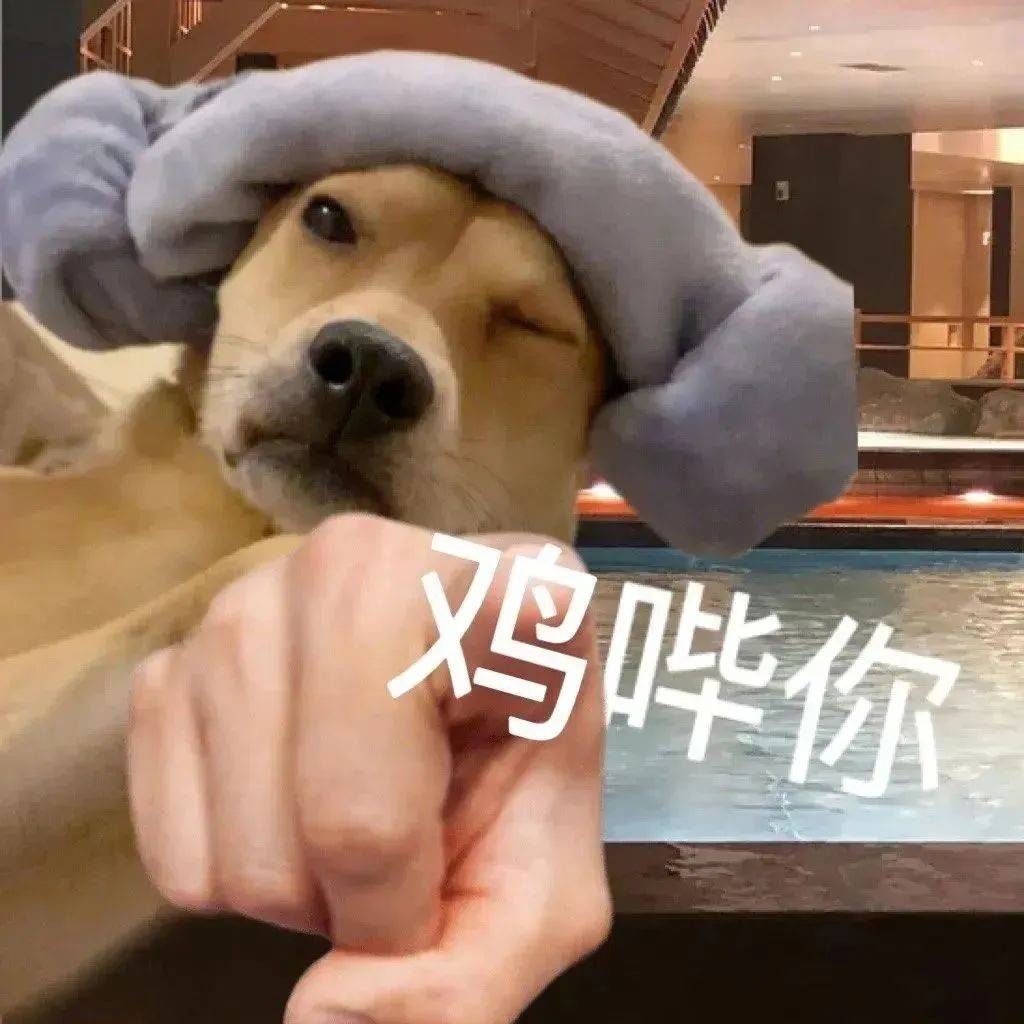 日常沙雕可爱表情包