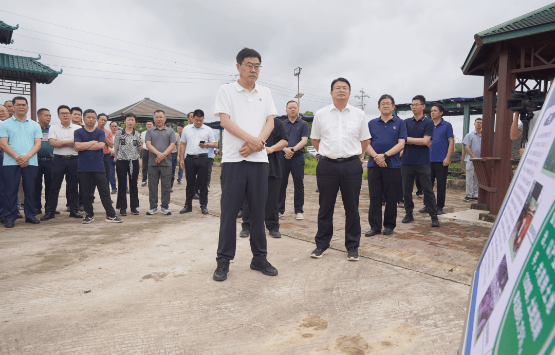 于晓军到冷坑镇桐光村开展专题调研时强调:加力提速推进"百千万工程"
