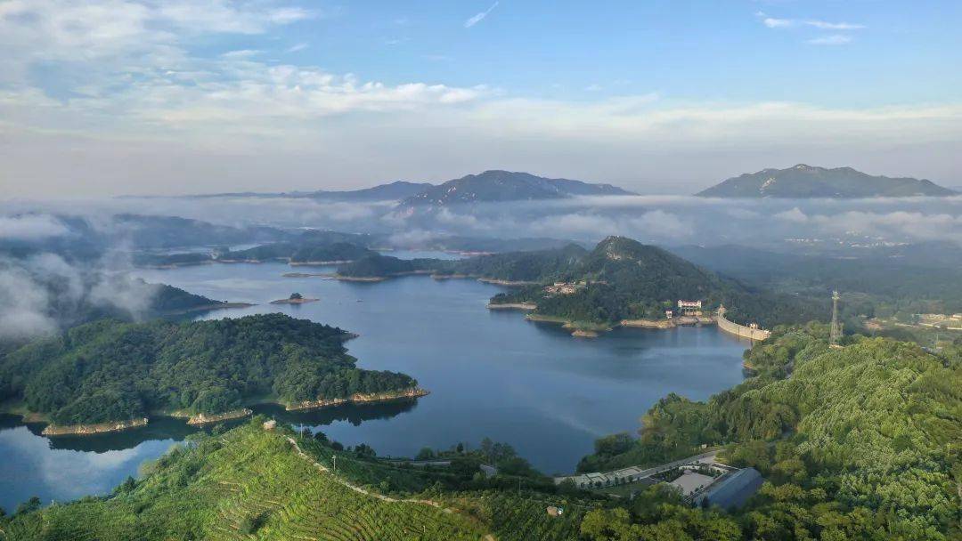 2024年弘化家园大别山区夏令营开始报名啦