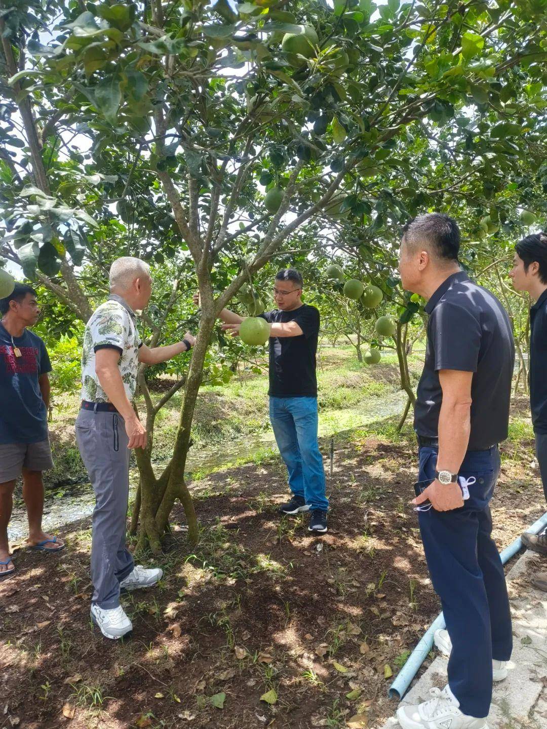 丰顺县长罗达祥率团赴泰国和印度尼西亚