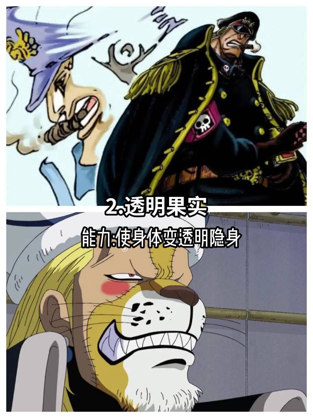 海贼王10颗最奇特的恶魔果实,你最想吃掉哪一颗呢