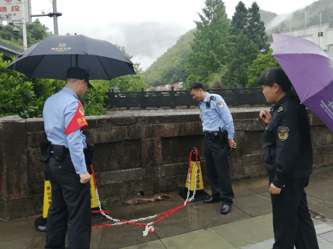 【大黄山365】黄山:"意外来客"的暖心故事,人与自然的和谐赞歌