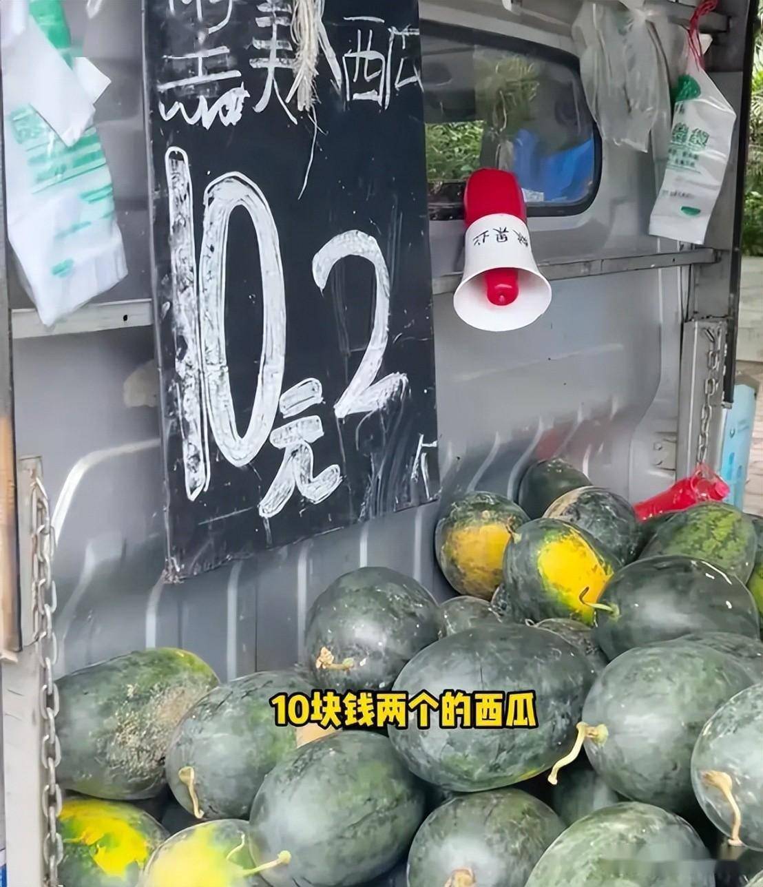被西瓜喂猪气到,韩国美女跑广西问中国人凭啥这么做,评论区更爽
