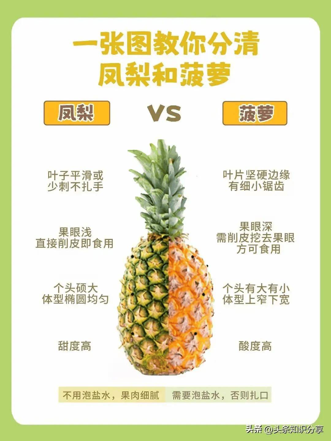 菠萝和凤梨的区别!你能分辨出来吗?