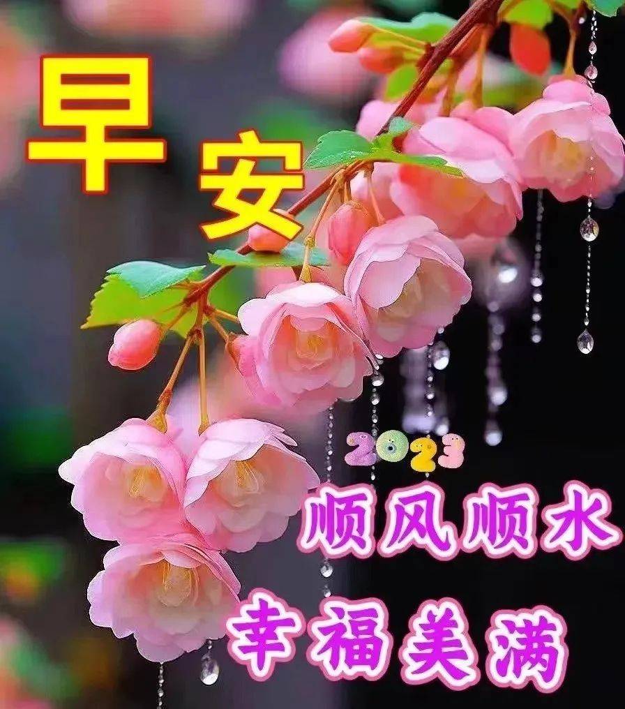 今日最新早上好图片大全,彼此祝福,健康无价!