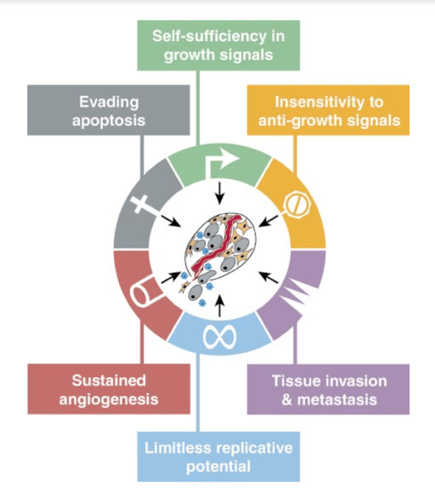 癌症研究五十年