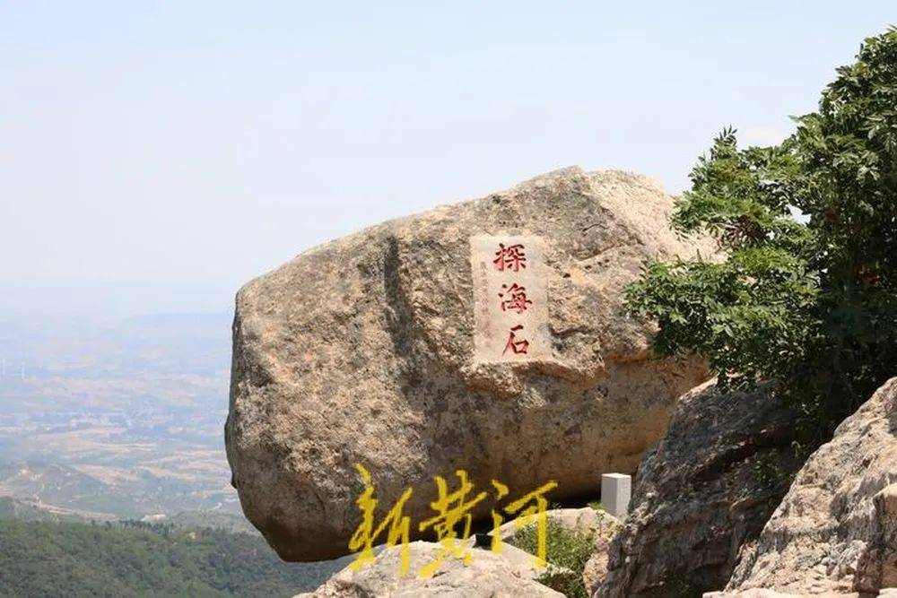 美丽山东建设媒体行 | 遇见沂山:跨越大半个世纪的"绿色拥抱"
