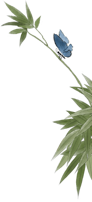 端午佳节 医保相伴 | 市医保系统"我们的节日·端午节"系列活动纪实