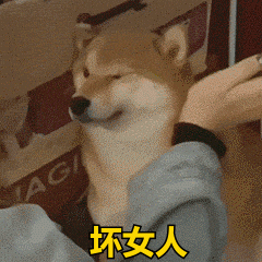 沙雕搞笑表情包:给家人们整笑了_公众_il_熊猫头