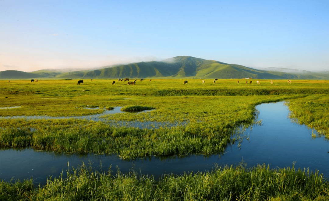 真实草原风景图片大全图片