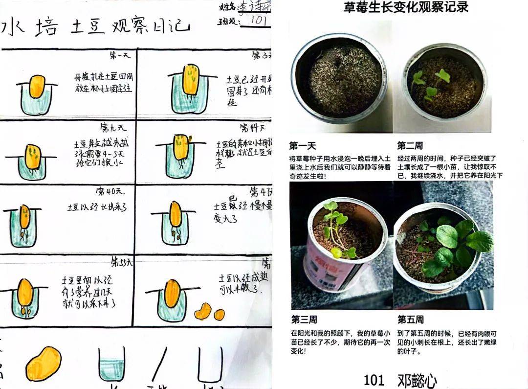 和植物共成长