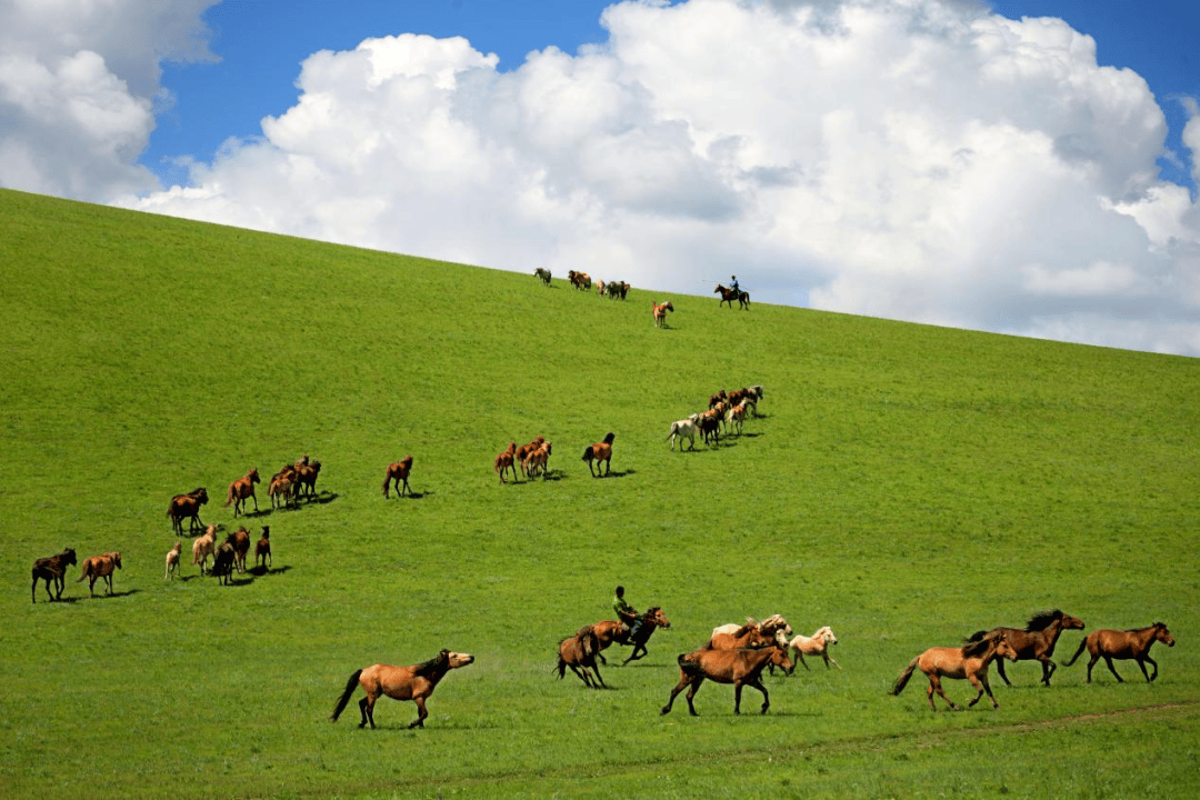 真实草原风景图片大全图片