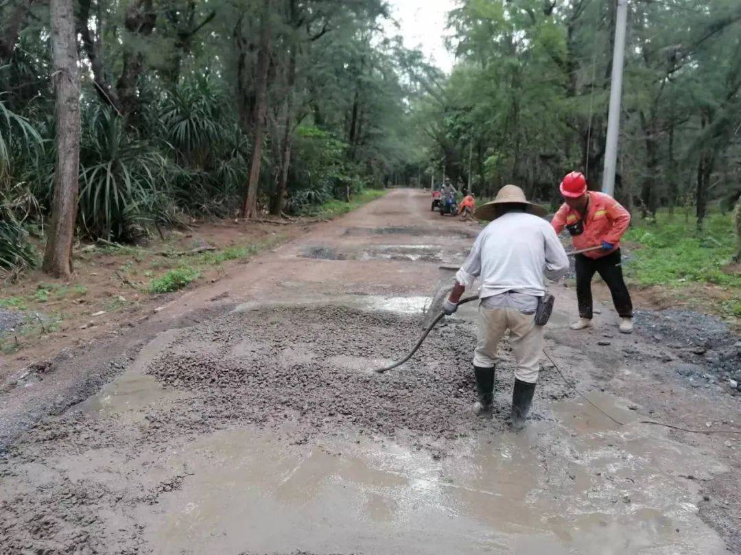 已基本完成路基清表,拓宽和填筑,碎石垫层已基本铺设完成,安装路缘石