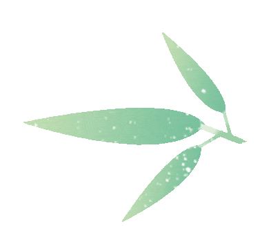 省美兰监狱来咯!海南司法行政人的"粽"头戏@所有人看这里!