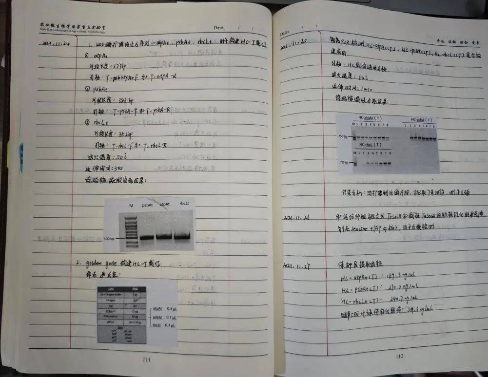 医学实验记录本模板图片