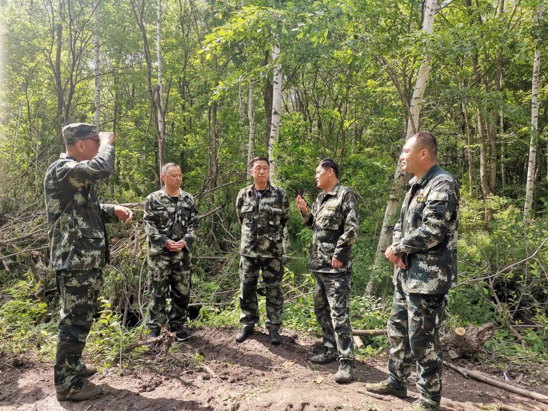 韩建军深入山上林场督导检查防火道路建设