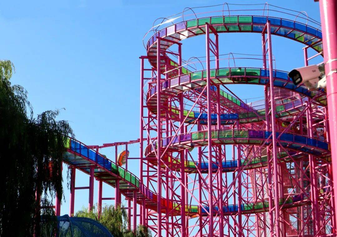 "粽"享欢乐时光!三条线路带你解锁遛娃新姿势