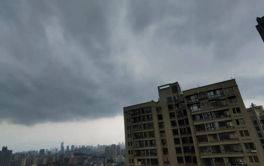 阴转大雨图片