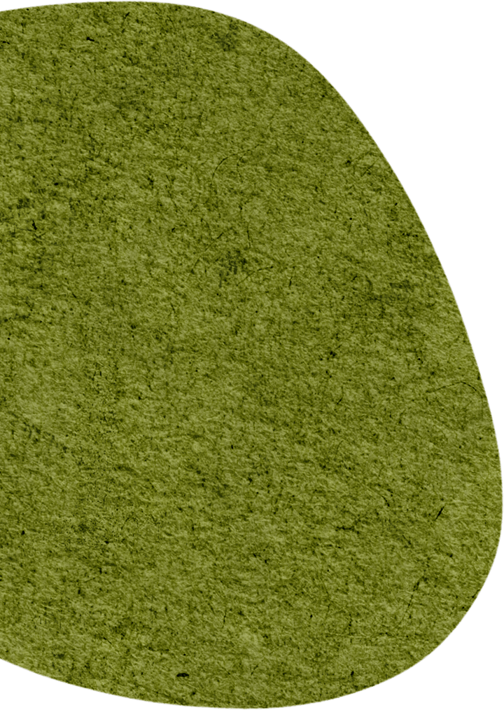 【教育改造】弘扬传统文化 粽享多彩端午