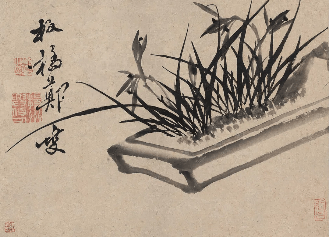 郑板桥《兰花册》,疏朗劲峭