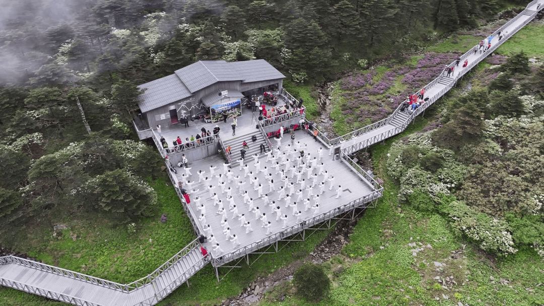 大理洗马潭杜鹃盛放 百人太极"粽"情山水