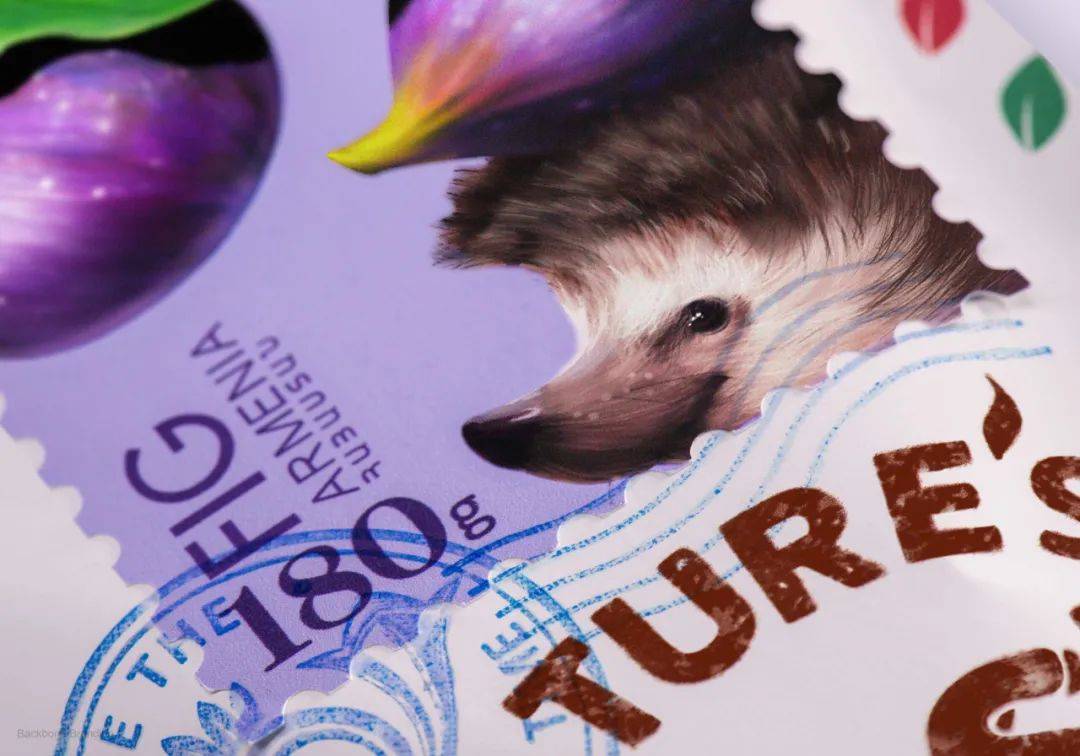 抖音代运营服务项目是什么_抖音代运营服务项目有哪些_抖音代运营服务项目