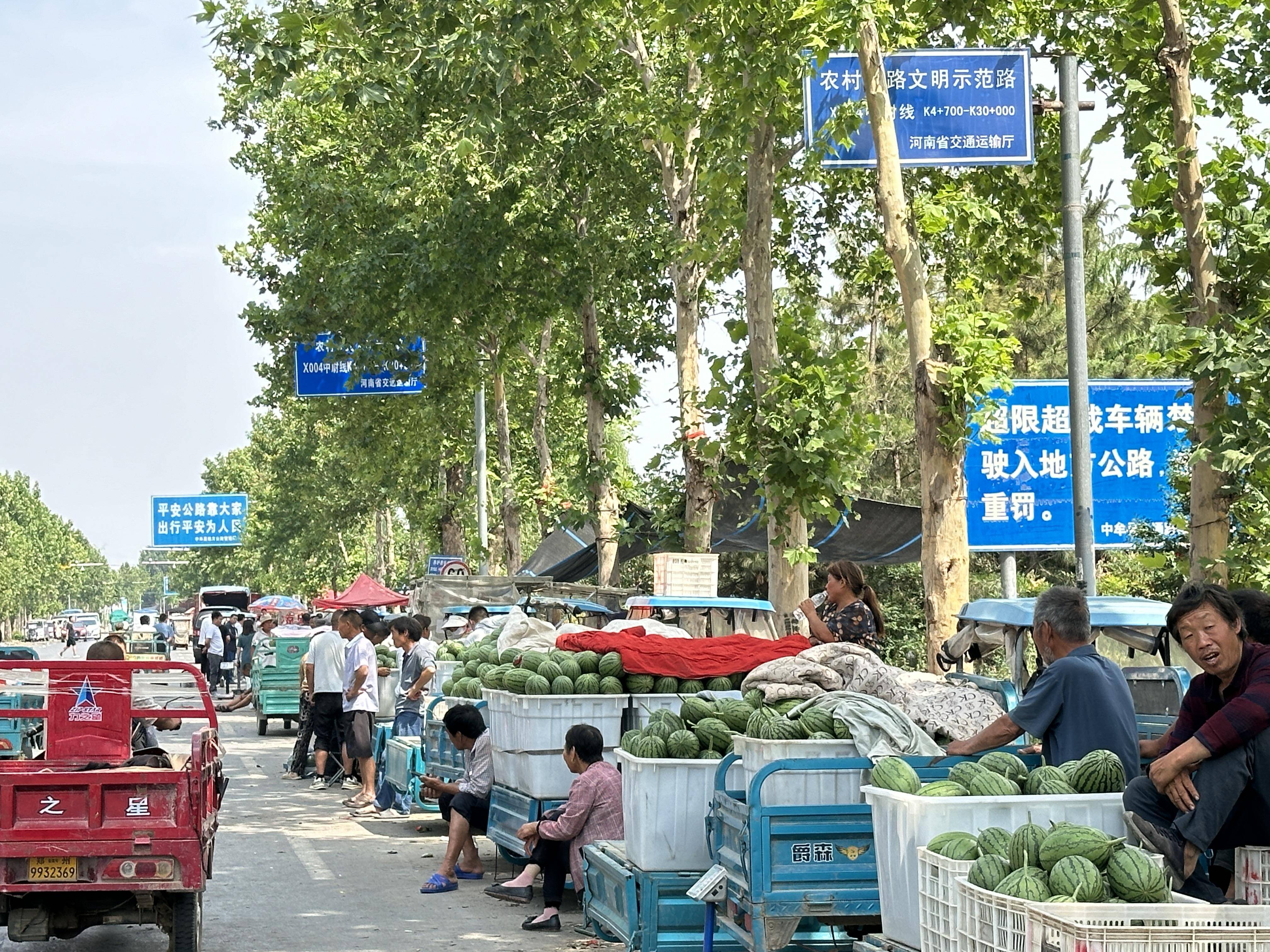 开着农用车,拉着一车西瓜,在城市的大街小巷安营扎寨,一卖就是好几天