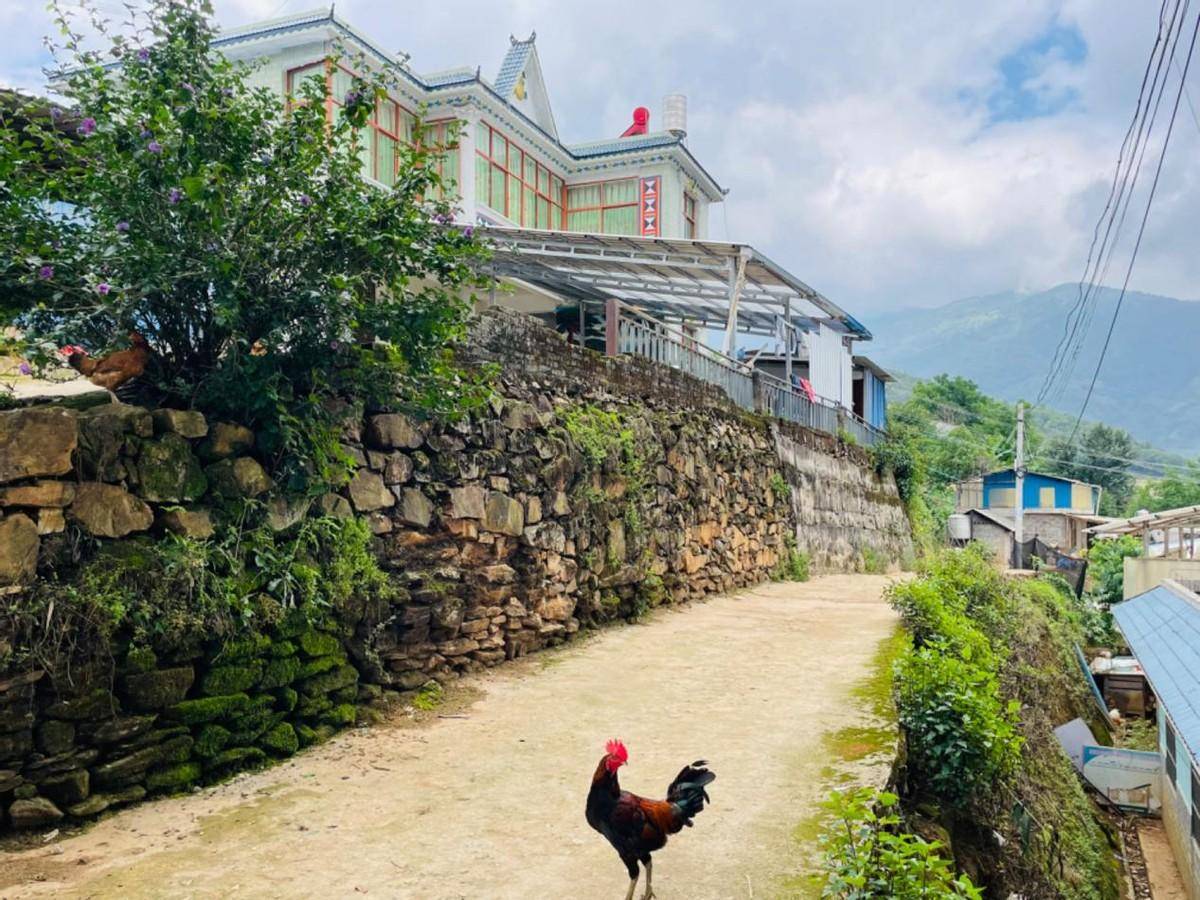 云品乐购走进昆明雄达茶城,助力云茶走向全国