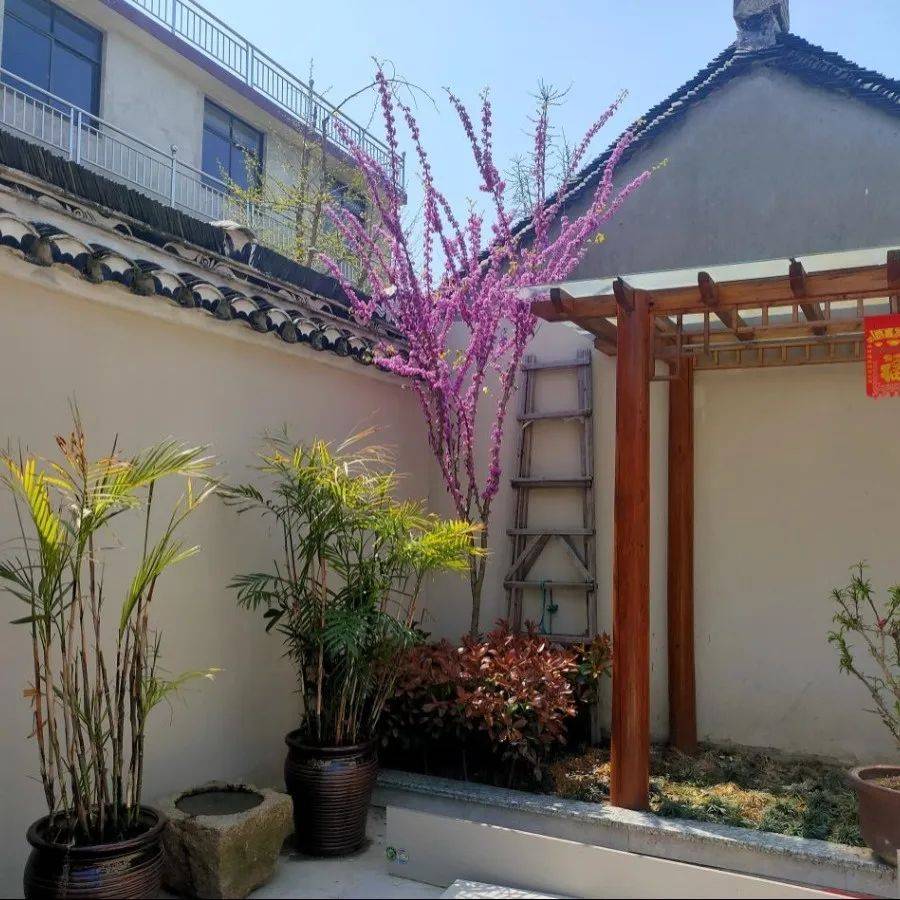 我同徐家庄村妇联积极探索庭院 小经济的模式,免费向家庭困难的妇女