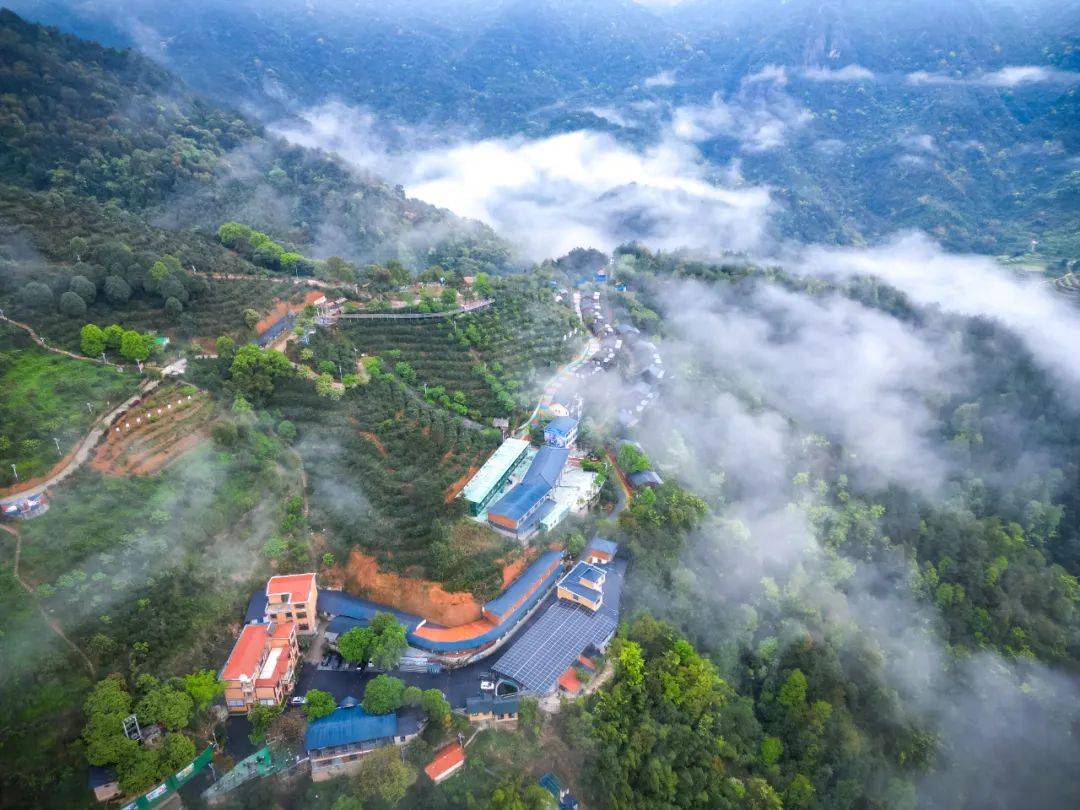 九仙山旅游度假区永安市莲花山路1666号莲花山风景区活动地址:0598
