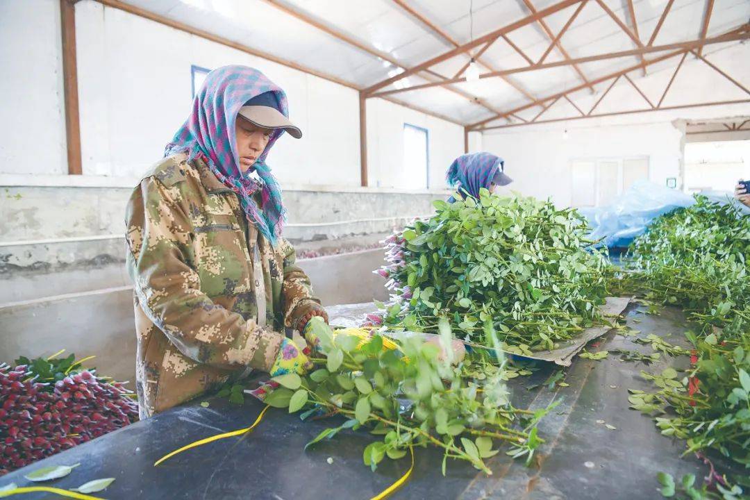 扶余以项目建设赋能农业高质量发展