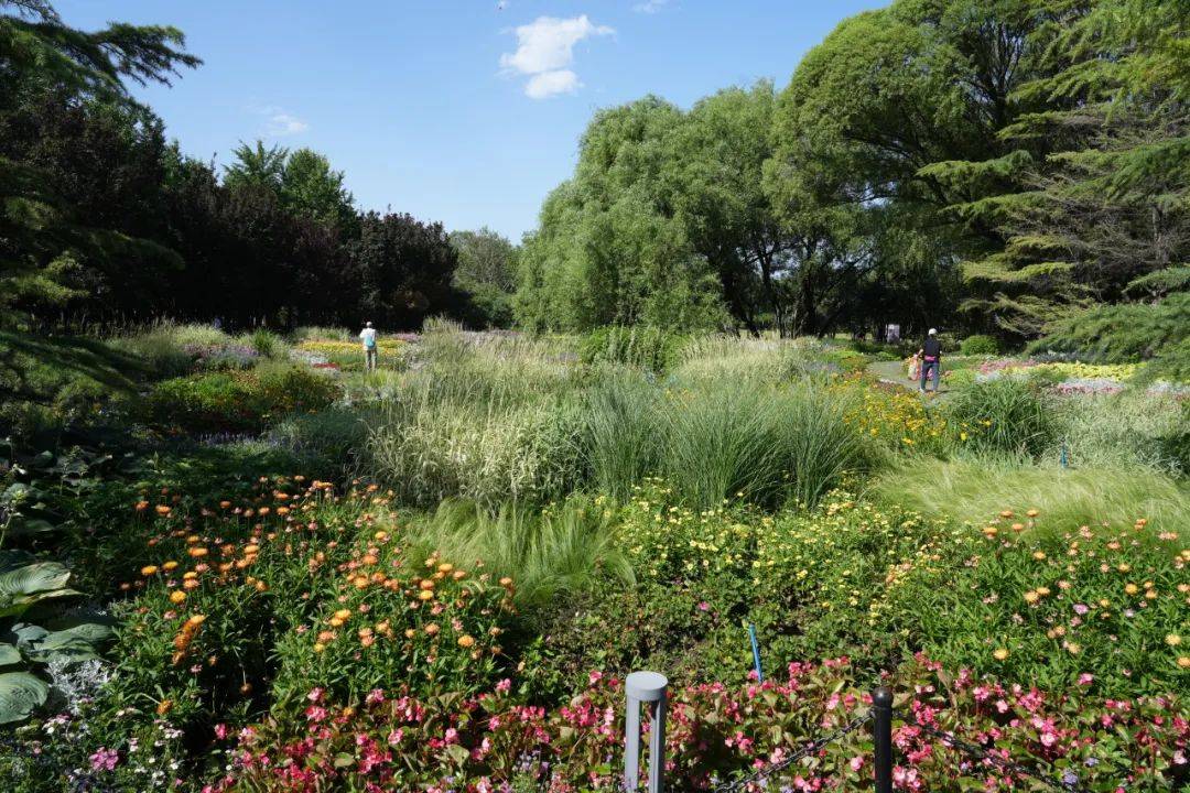 关注海淀科技与文化,北京市人大代表打卡海淀新地标