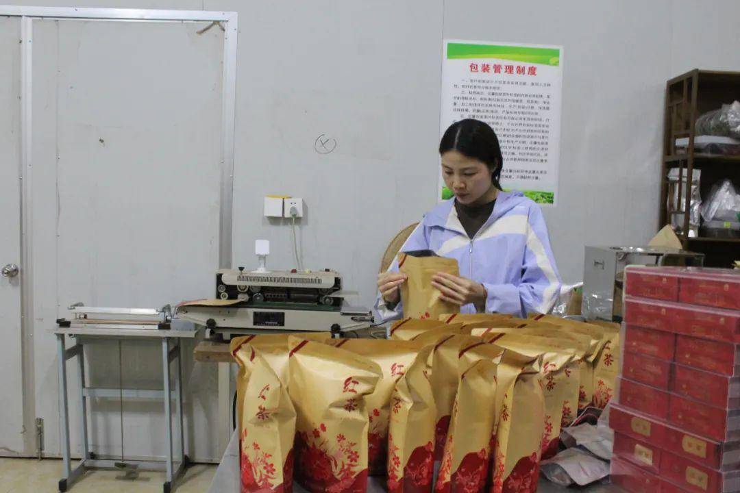 "新农人"回村进行时丨林酉:好茶出大山,氤氲飘四方