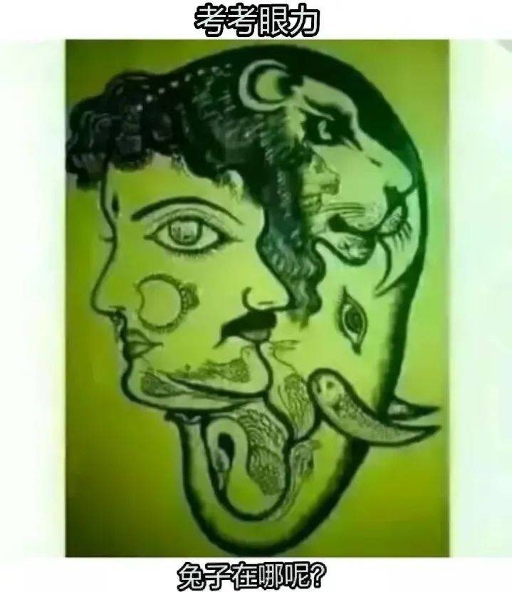 这张图上有只 兔子,能看出来的证明大脑很年轻!