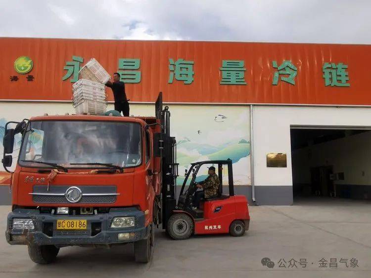 永昌海量冷链物流储运中心市档案馆收集照片档案（崔鸿伟摄）永昌海量现