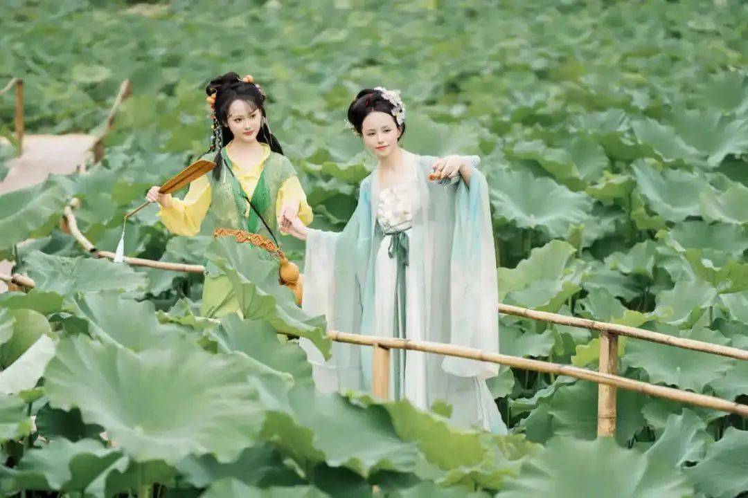 夏日的荷花,都开在了四川人的审美上!这份赏荷指南拿走不谢