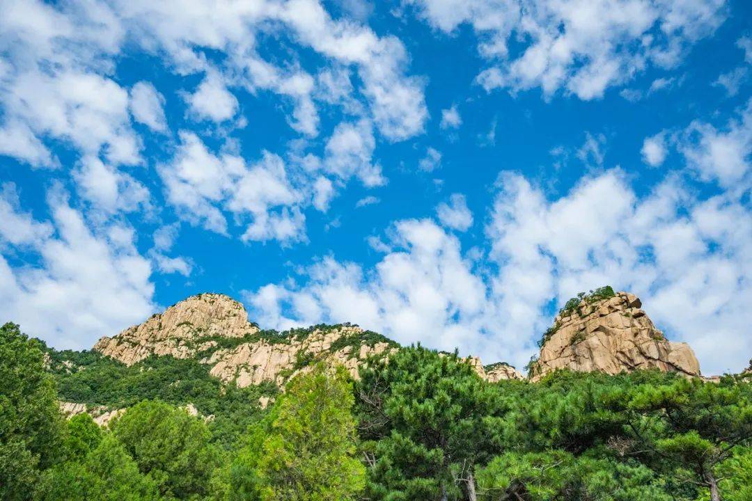 泰山夏意浓|邂逅夏日天烛峰的盎然野趣